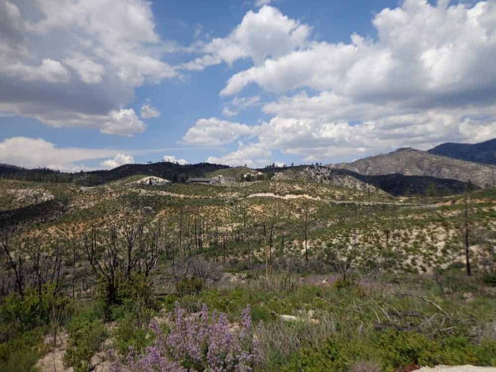 Carpy’s Cafe Racers